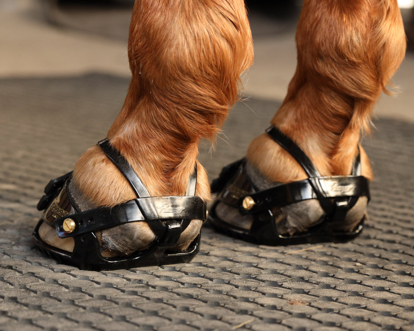 Scoot Boot Adjust Hoof Boots - Pair