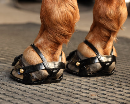 Scoot Boot Adjust Hoof Boots - Pair