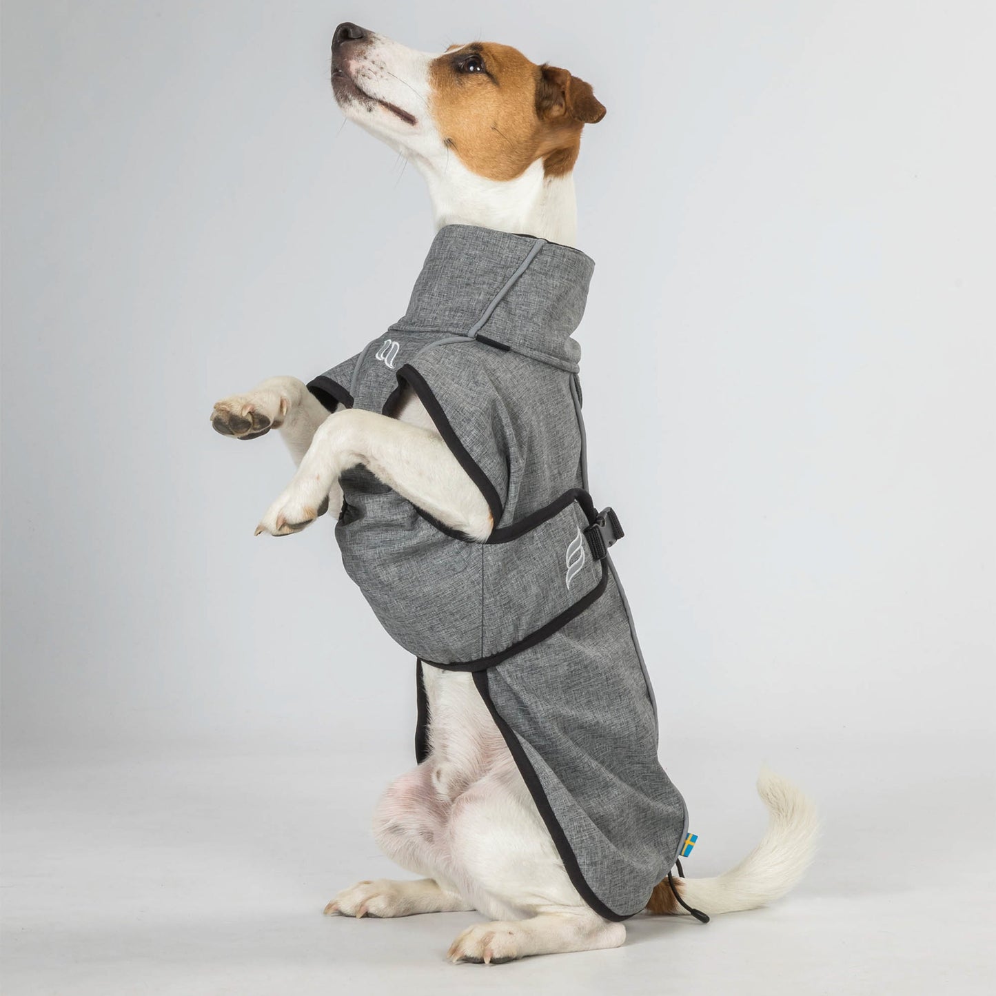 Back on Track Bark Small Dog Coat