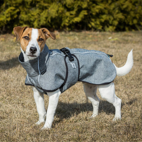 Back on Track Bark Small Dog Coat