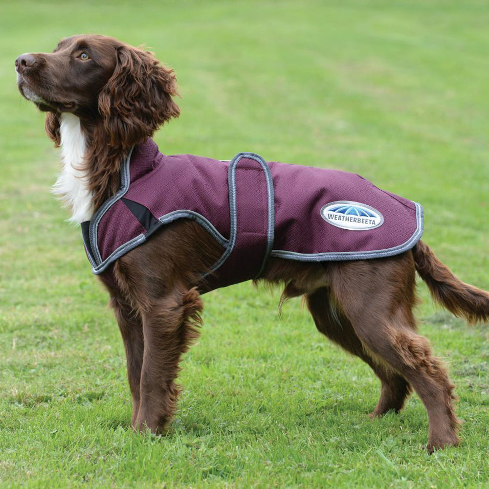 WeatherBeeta ComFiTec Premier Free Parka Deluxe Dog Coat