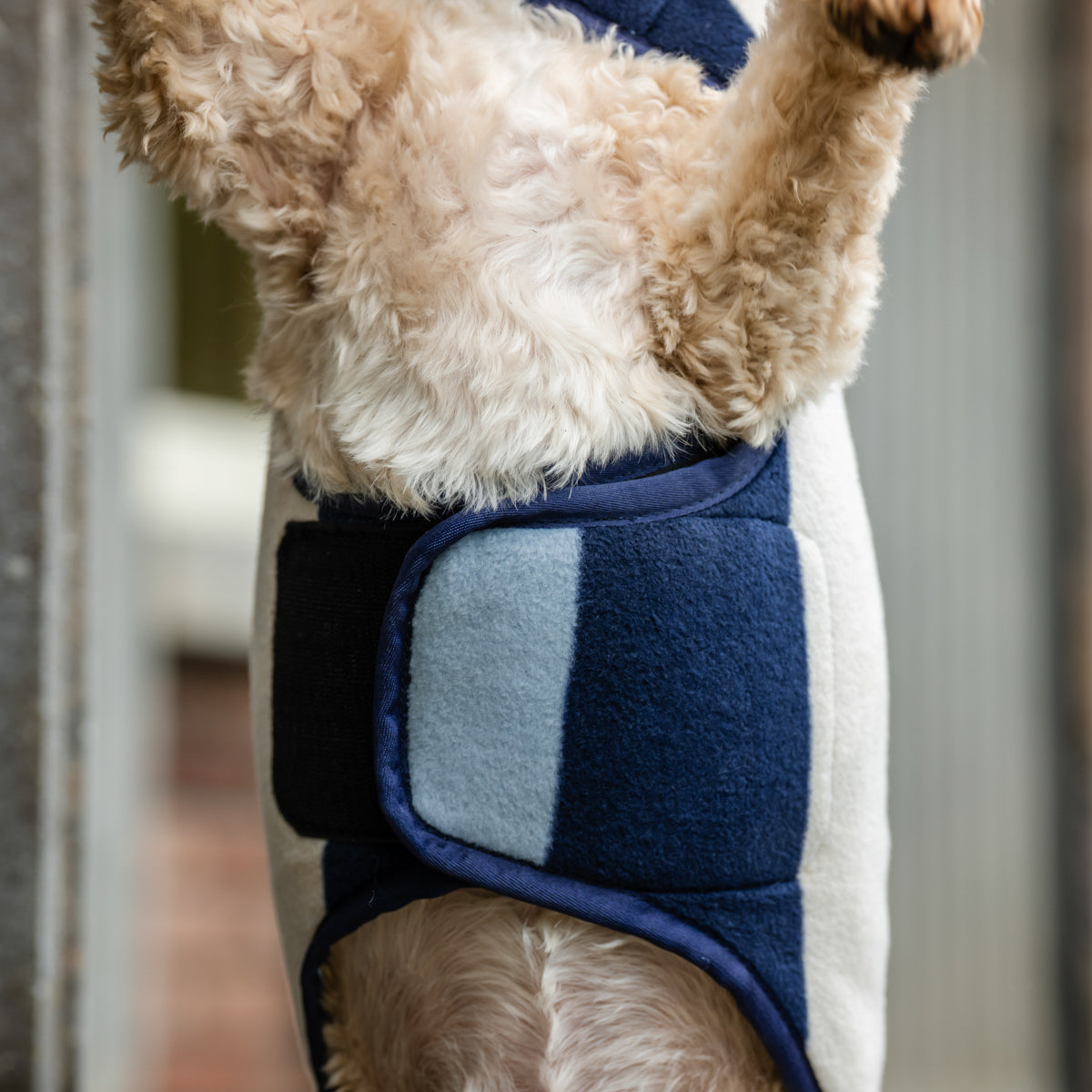 Horseware Ireland Newmarket Dog Fleece XXS-M