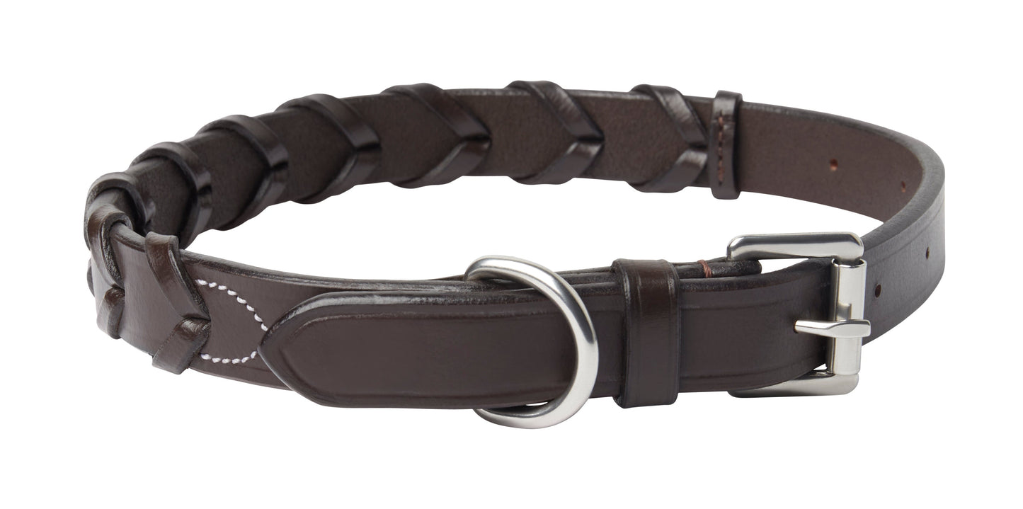 Rider’s International Laced Rein Dog Collar