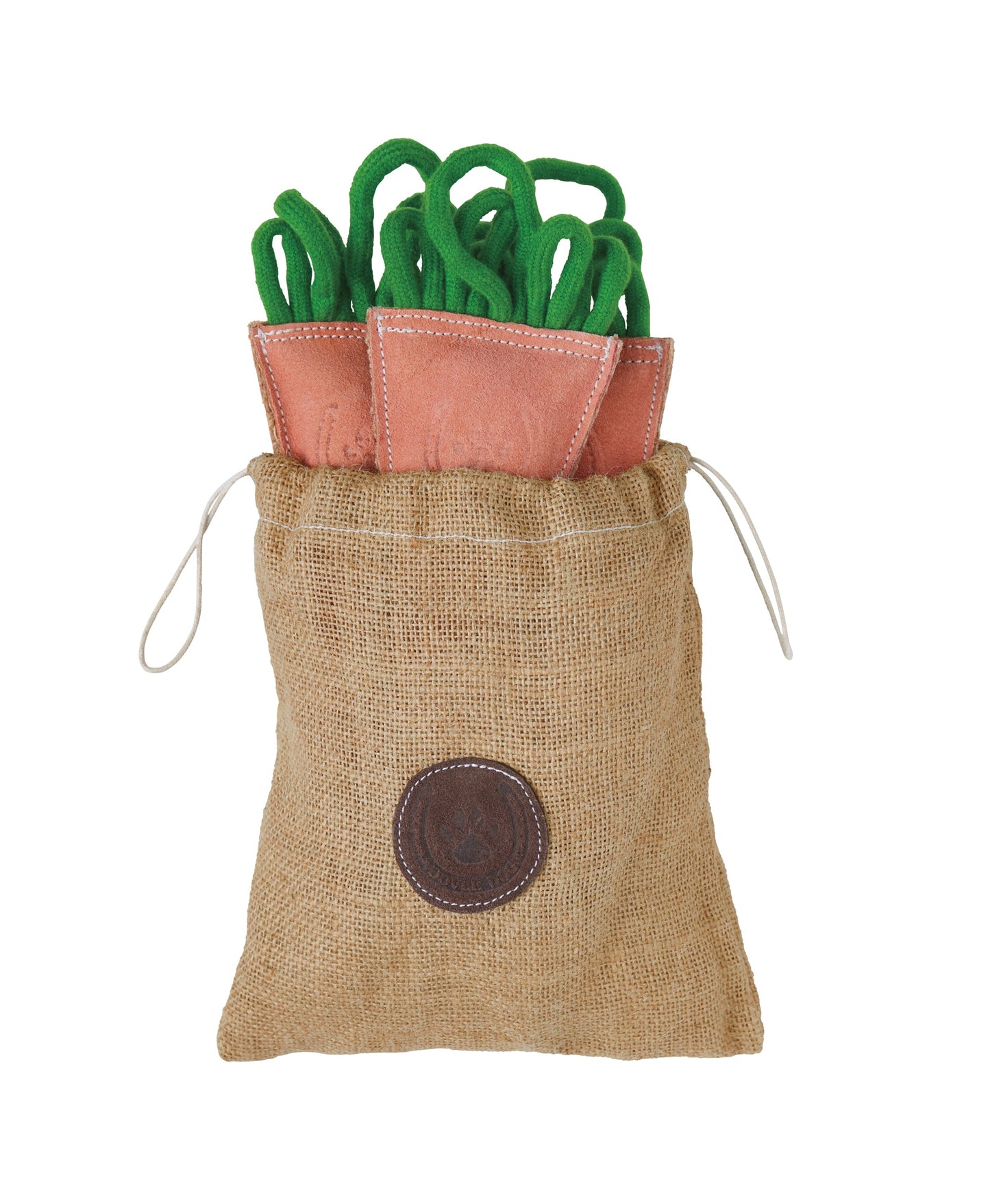 Dover Dog Carrot Bunch Dog Toy