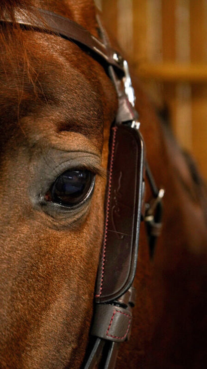 Dy'on Blinkers