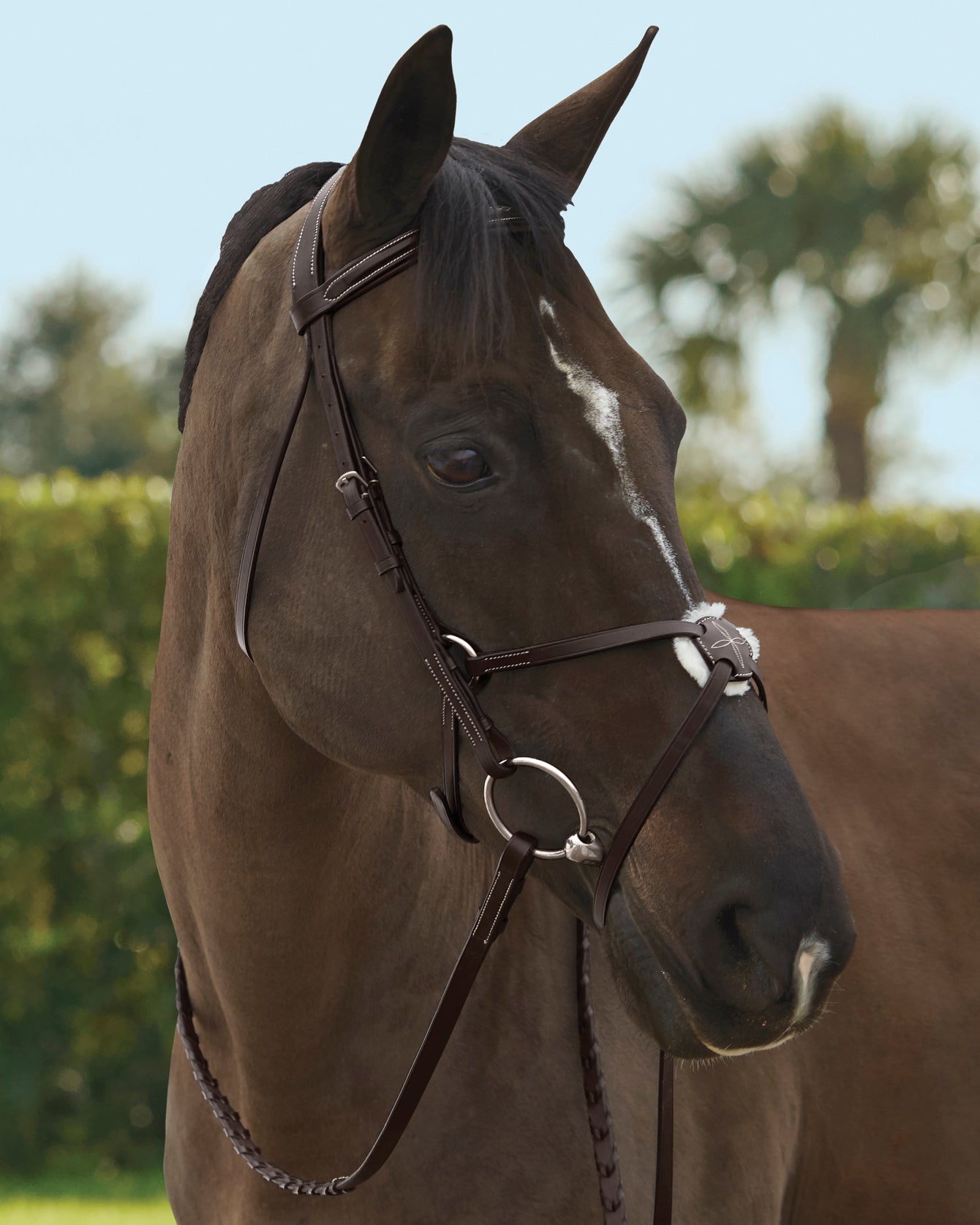 TRU-Fit Build-A-Bridle Figure-8 Noseband