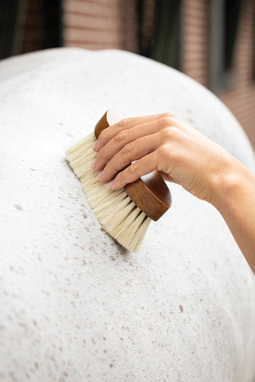 LeMieux Artisan Deep Clean Dandy Brush