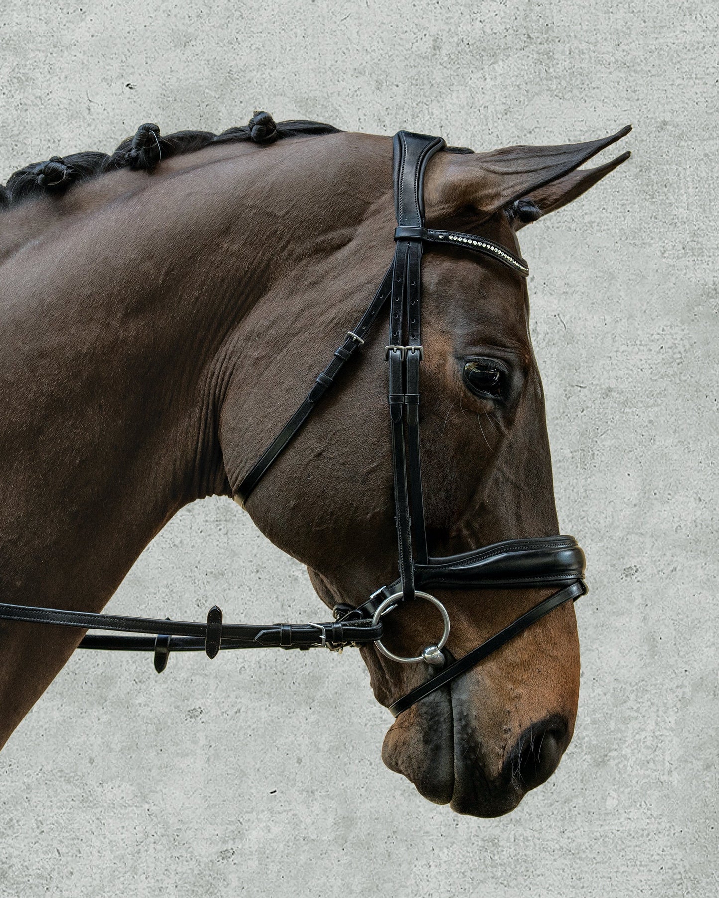 Schockemöhle Stanford Bridle