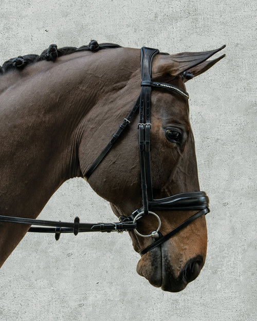 Schockemöhle Stanford Bridle
