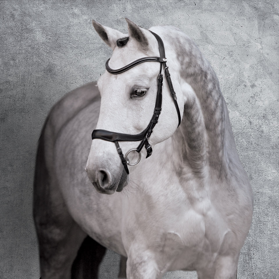 Schockemöhle Equitus Alpha Bridle