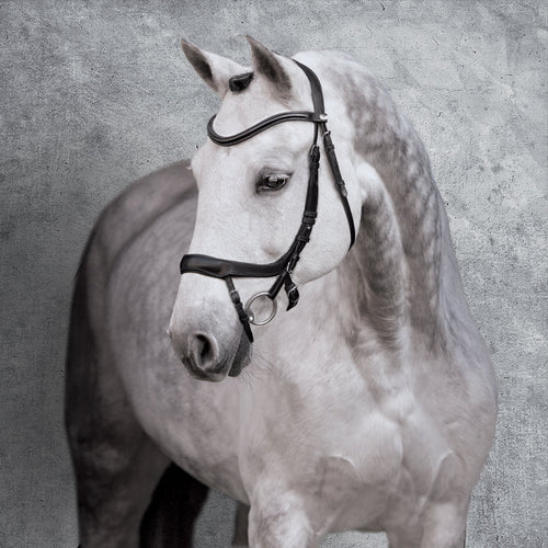 Schockemöhle Equitus Alpha Bridle