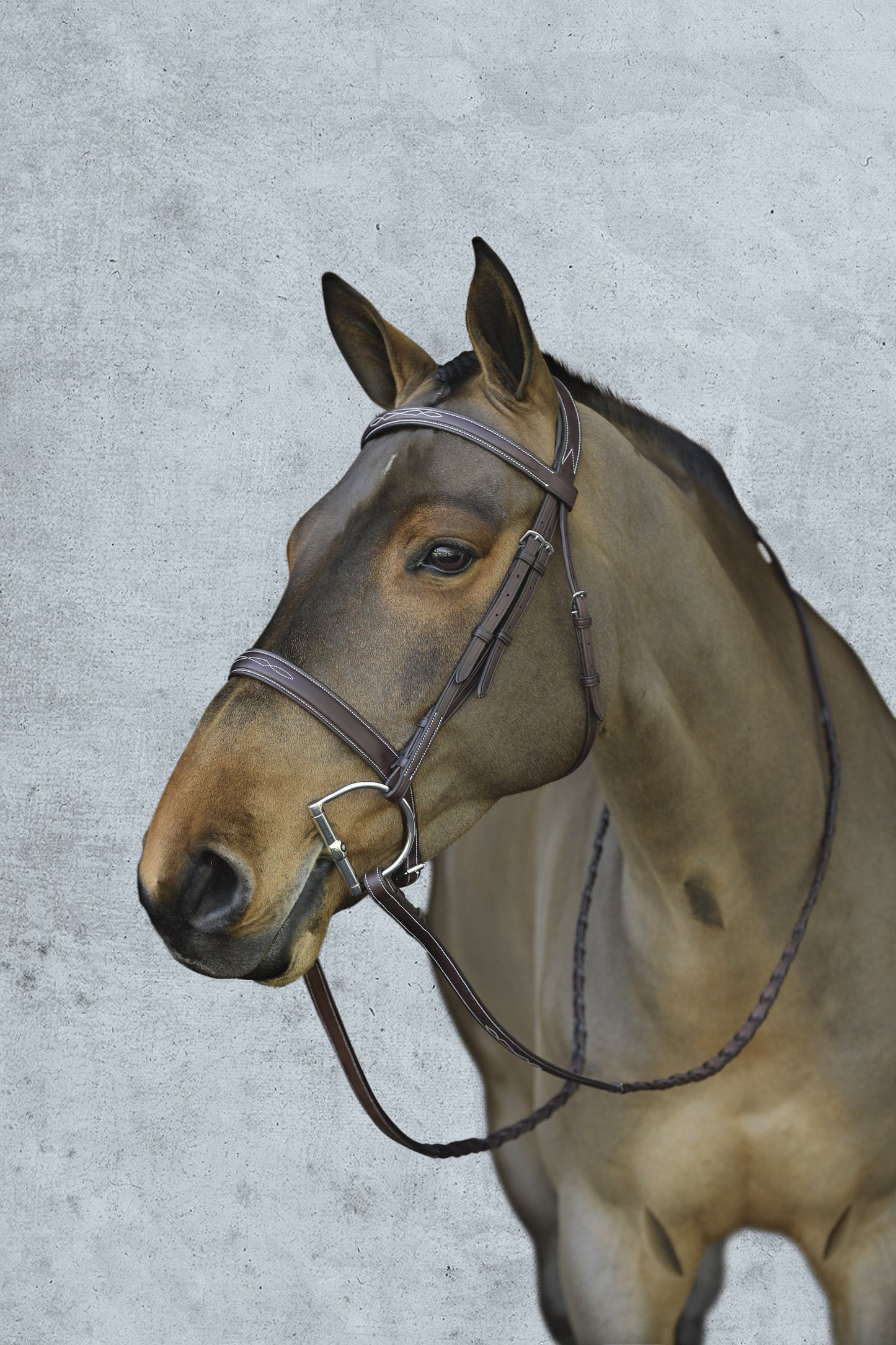 Pessoa Pro Fancy-Stitched Wide Nose Bridle