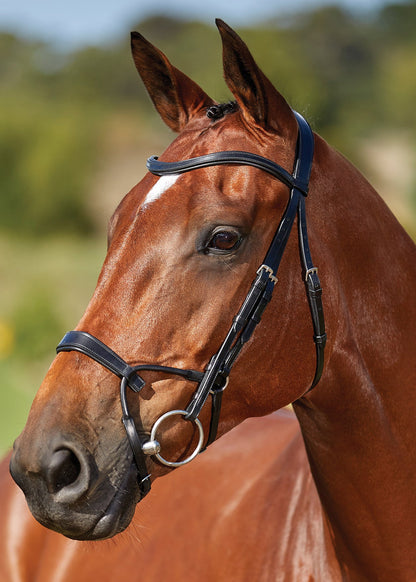 Collegiate ComFiTec Training Bridle