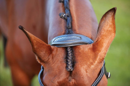 Collegiate ComFiTec Training Bridle