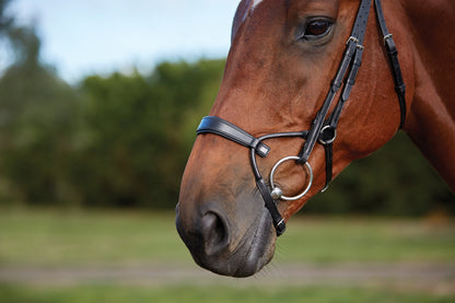 Collegiate ComFiTec Training Bridle
