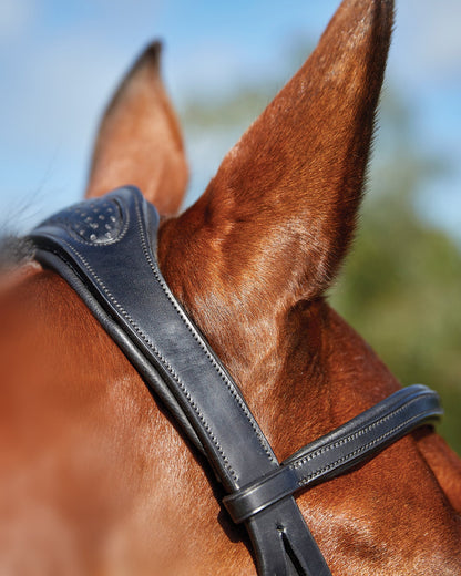 Collegiate ComFiTec Training Bridle