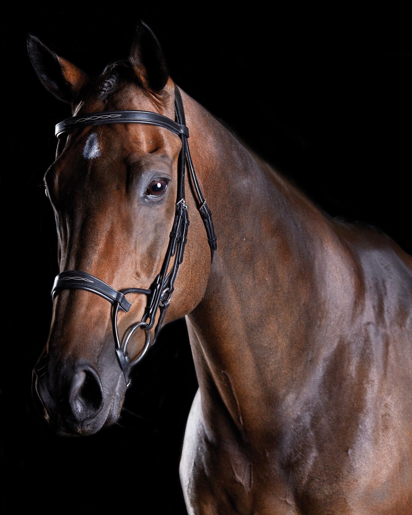 Collegiate ComFiTec Fancy-Stitched Bridle