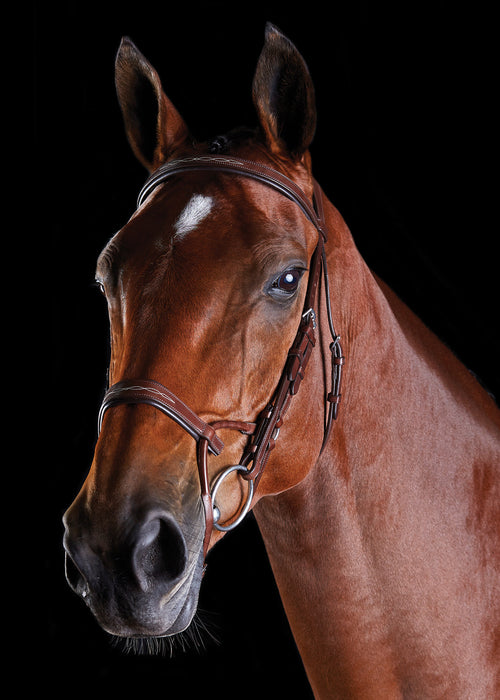 Collegiate ComFiTec Fancy-Stitched Bridle
