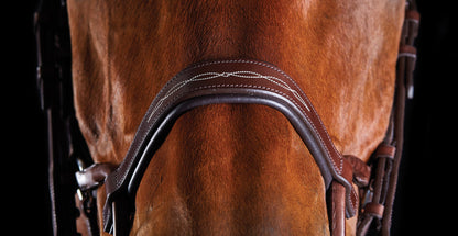 Collegiate ComFiTec Fancy-Stitched Bridle