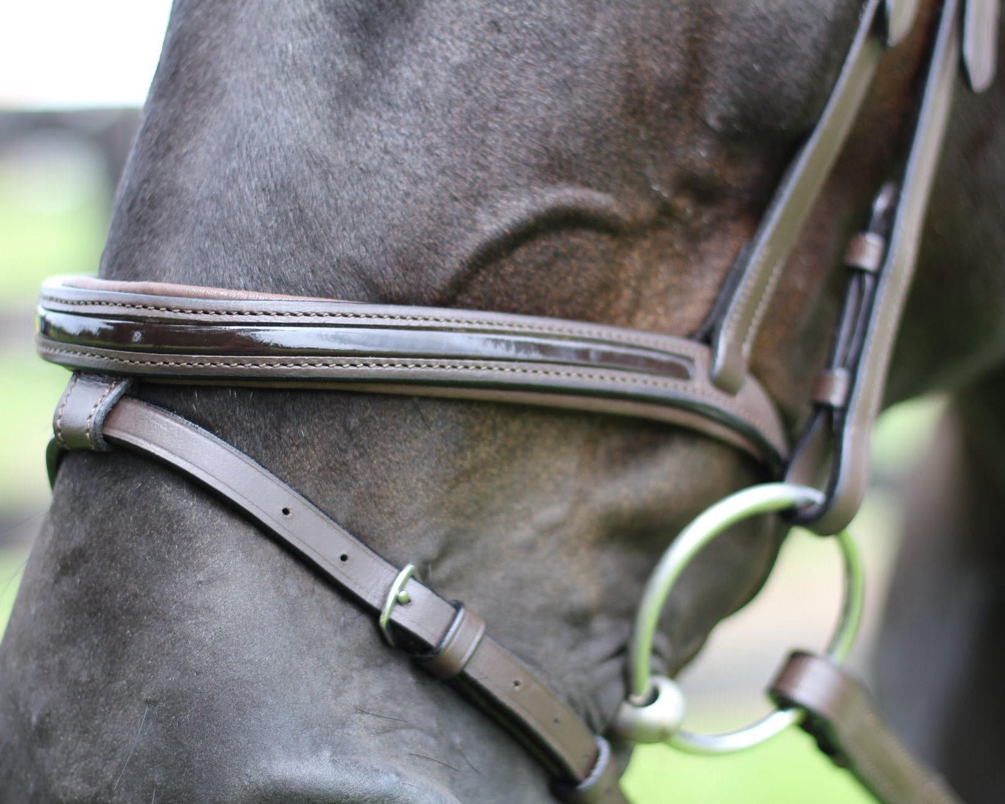 Henri de Rivel Piaffe Mono Crown Bridle with Flash Noseband & Patent Leather