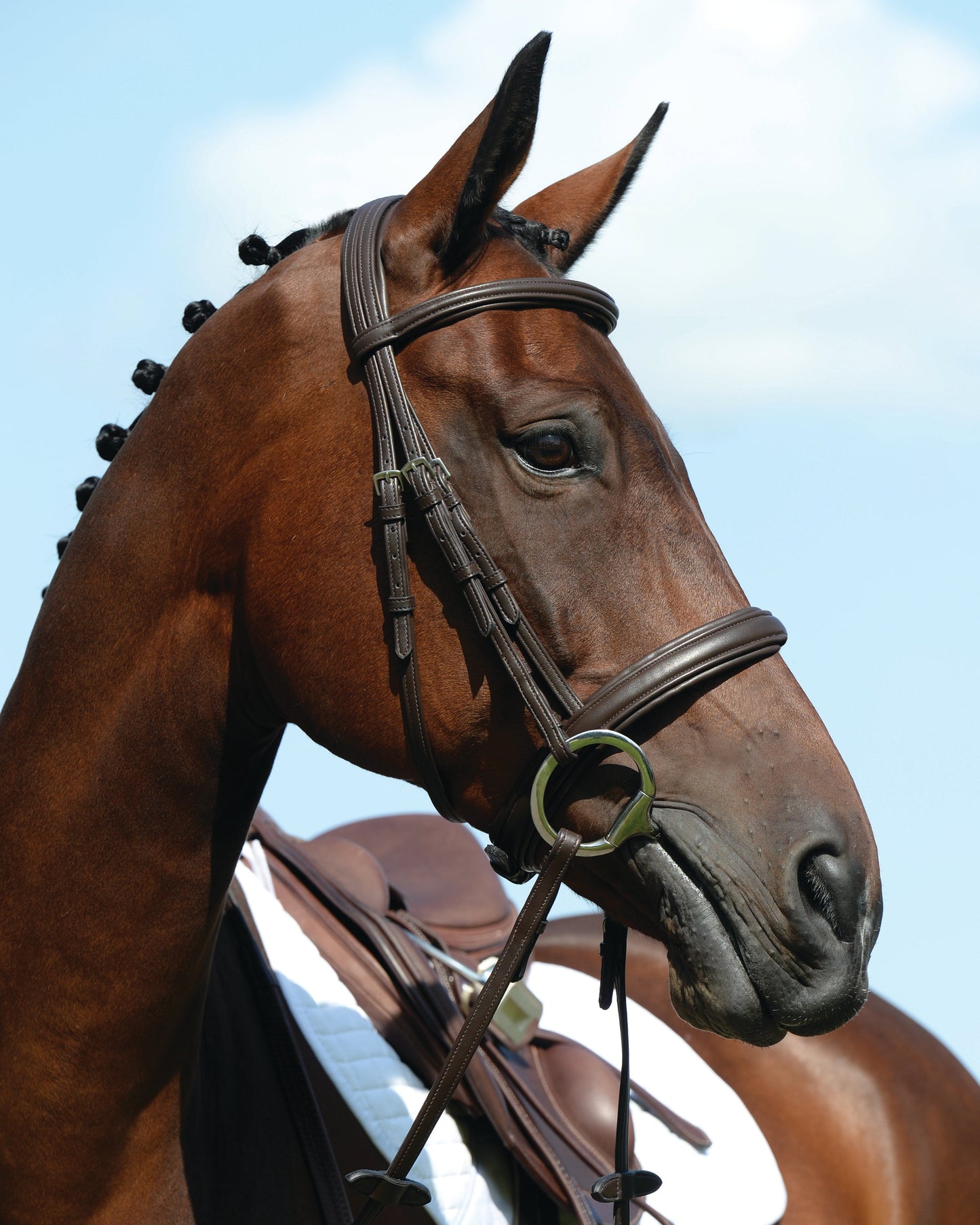 Collegiate Syntovia+ Padded Raised Caveson Bridle