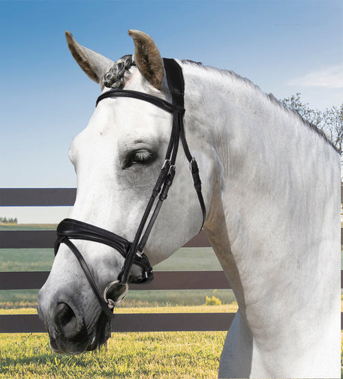 Acavallo Maesta Bridle