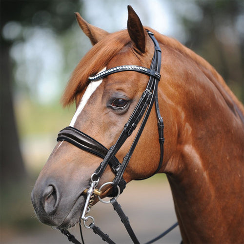 Kavalkade Antonia Double Bridle