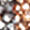 Kavalkade Button Browband