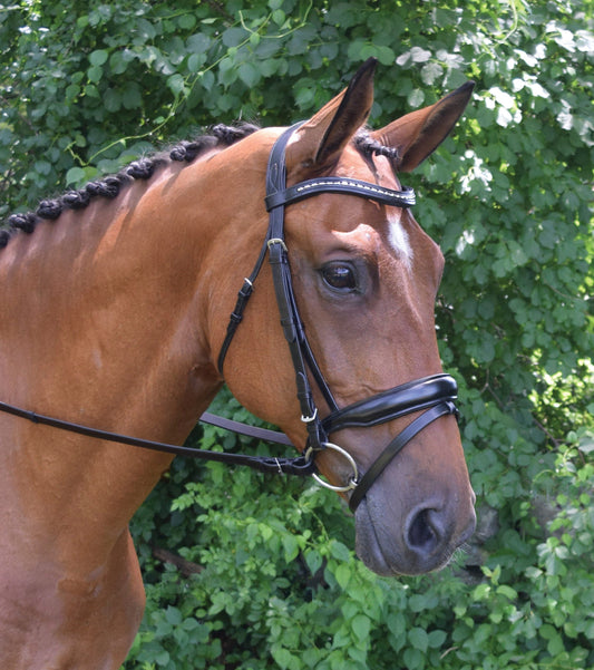 Red Barn Topline Bridle