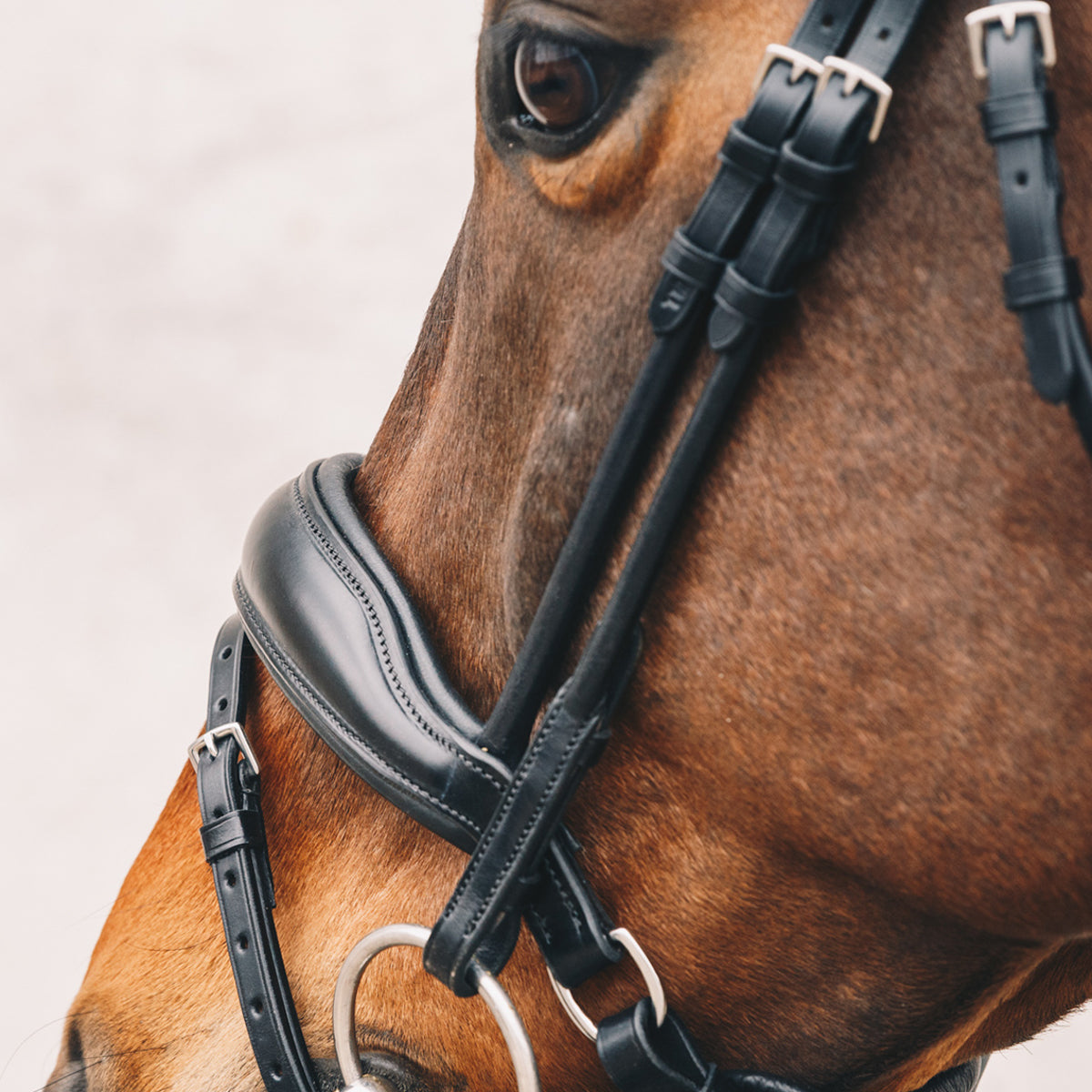 Schockemöhle Malibu Bridle