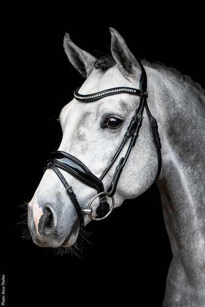 Schockemöhle Malibu Bridle
