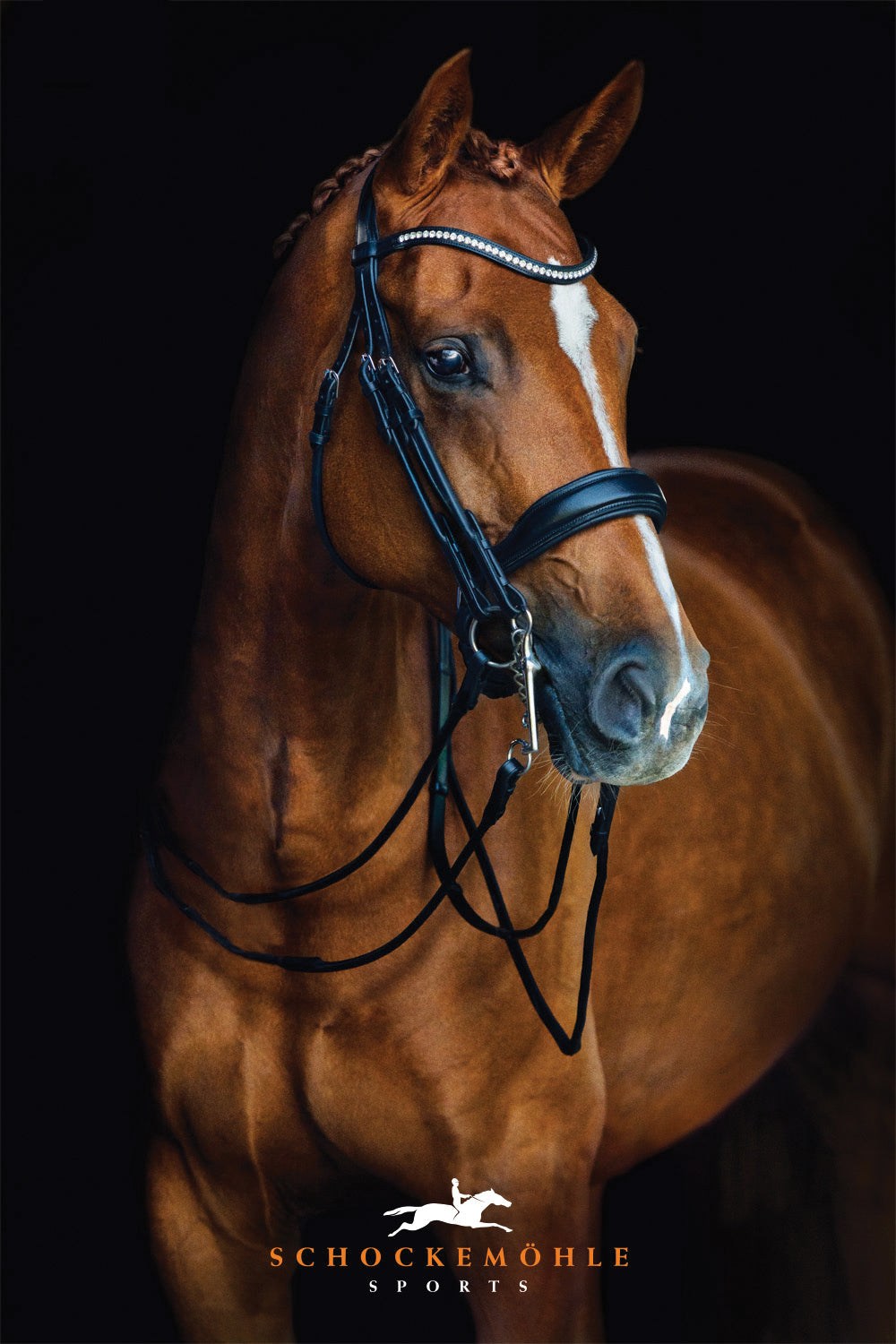 Schockemöhle Venice Double Bridle