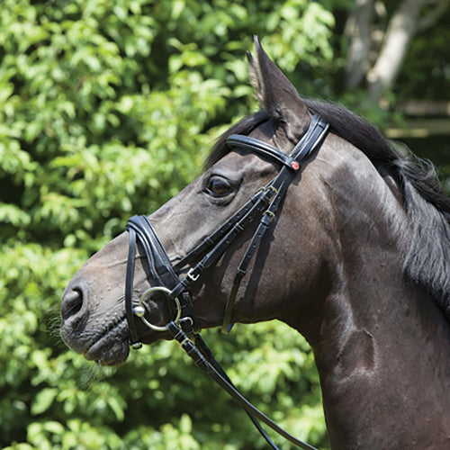 Kieffer Perseus Clincher Snaffle Bridle
