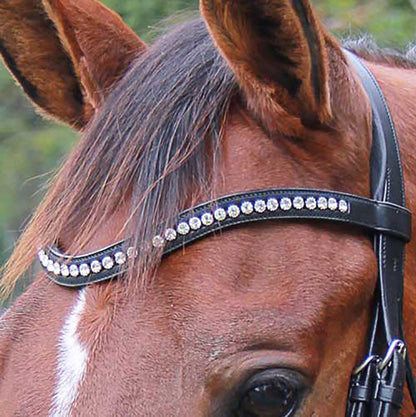 Veritas by Vespucci Contoured Browband with Swarovski Crystals