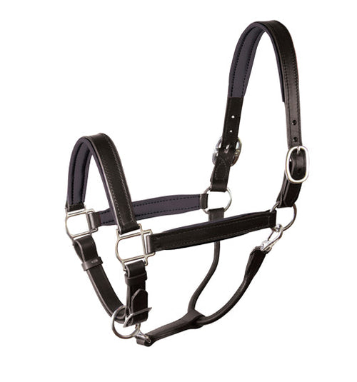 Perri’s Padded Leather Halter Crownpiece