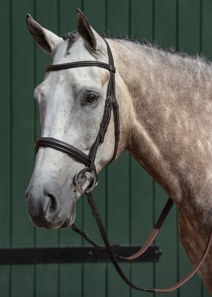 Collegiate Essential Padded Raised Caveson Bridle