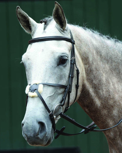 Collegiate Essential Padded Raised Figure-8 Bridle