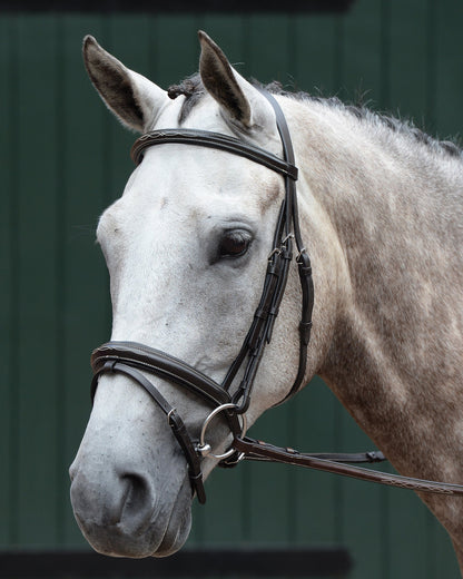 Collegiate Essential Padded Raised Fancy-Stitched Flash Bridle
