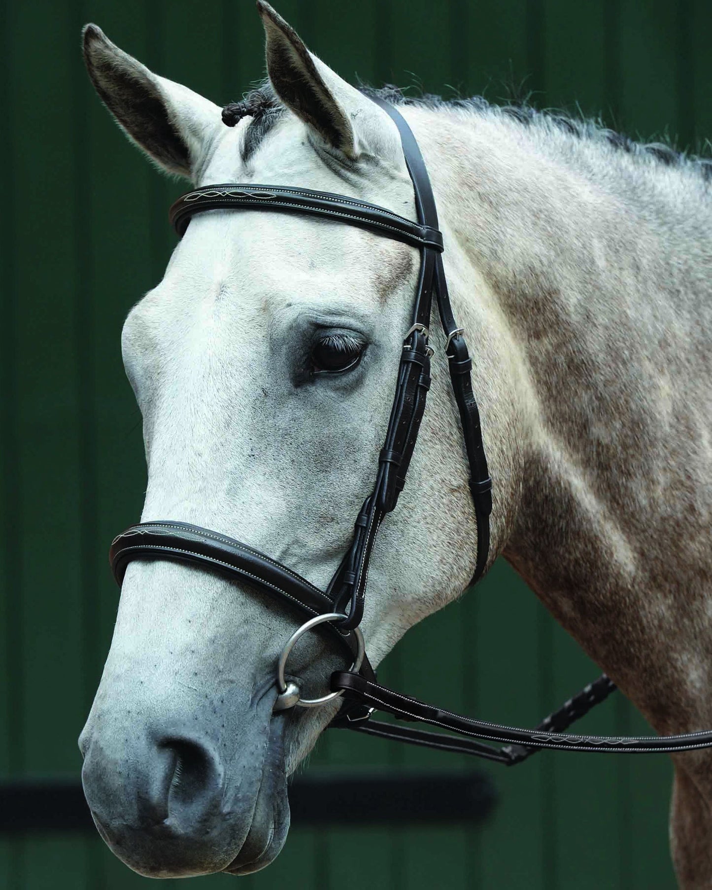 Collegiate Essential Padded Raised Fancy-Stitched Caveson Bridle