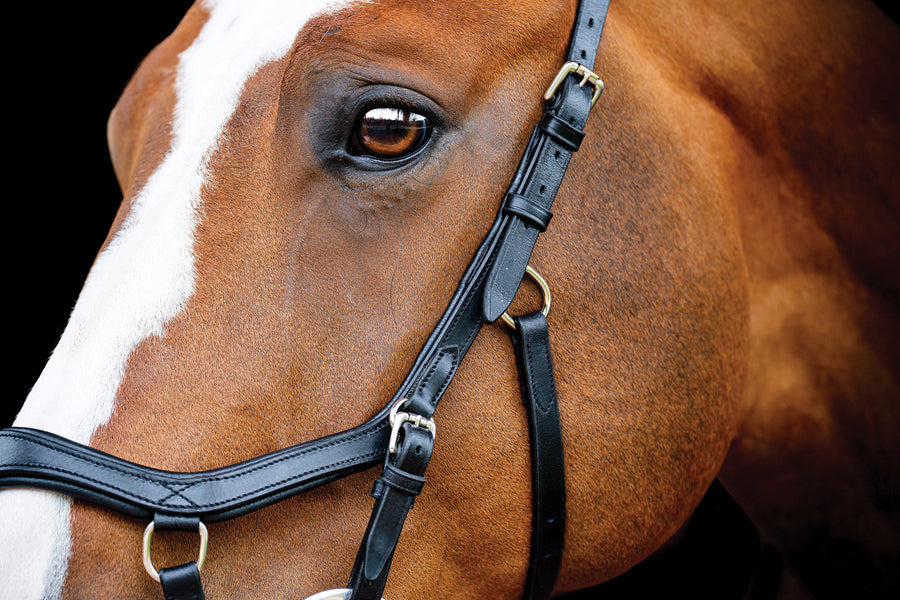 Horseware Ireland Micklem2 Competition Bridle with Reins