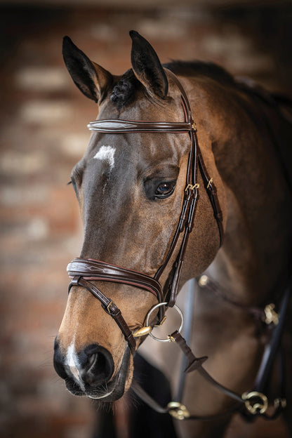 LeMieux Kudos Competition Flash Bridle
