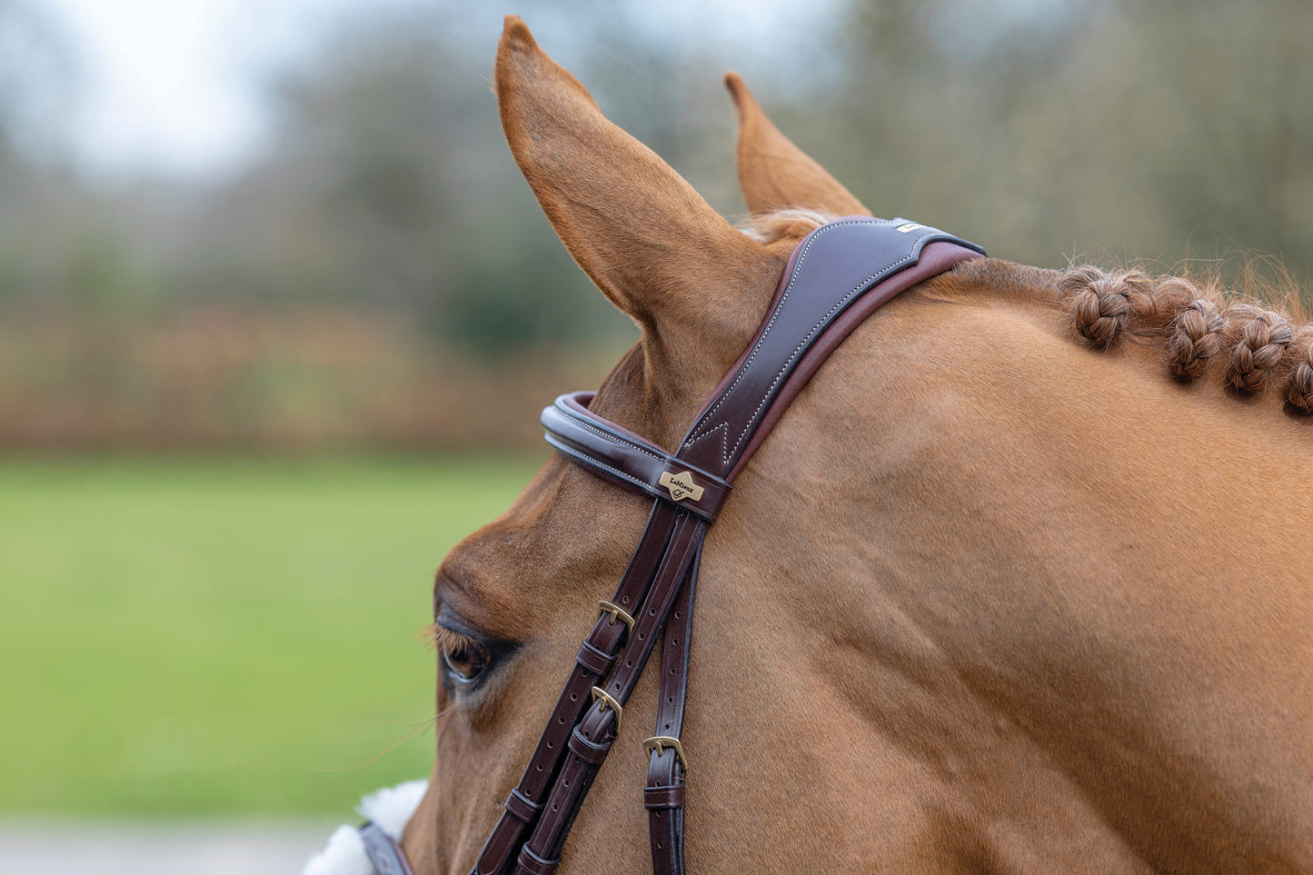 LeMieux Kudos Figure-8 Bridle