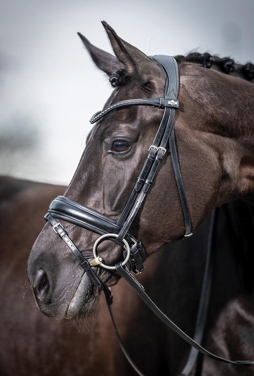 LeMieux Kudos Dressage Flash Bridle