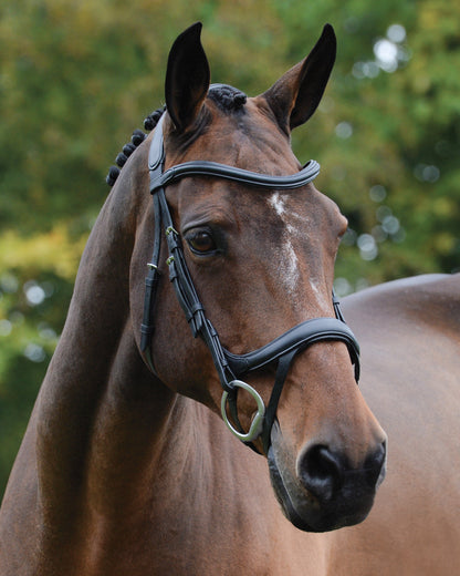 Collegiate ComFiTec Vogue Anatomic Bridle
