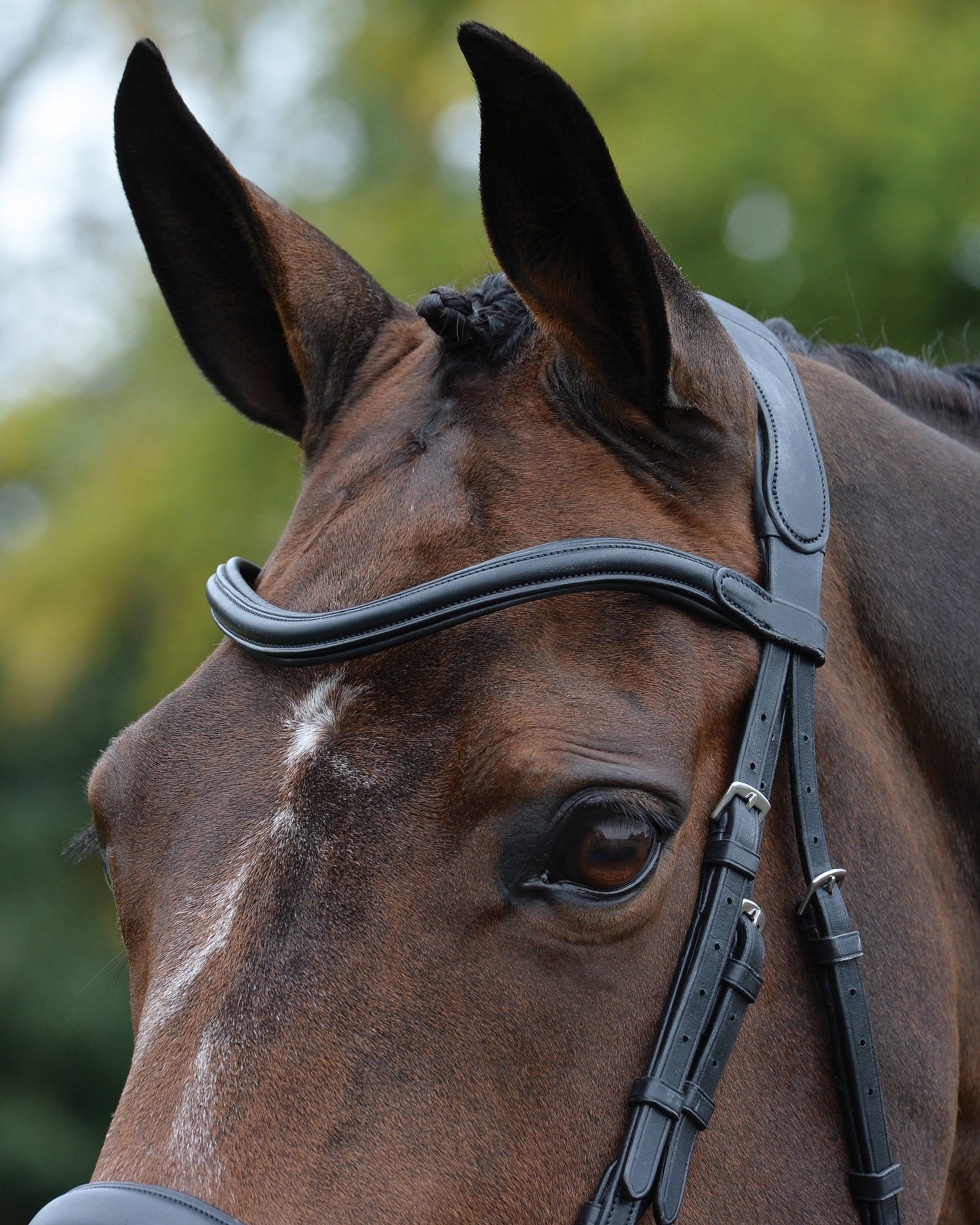 Collegiate ComFiTec Vogue Anatomic Bridle