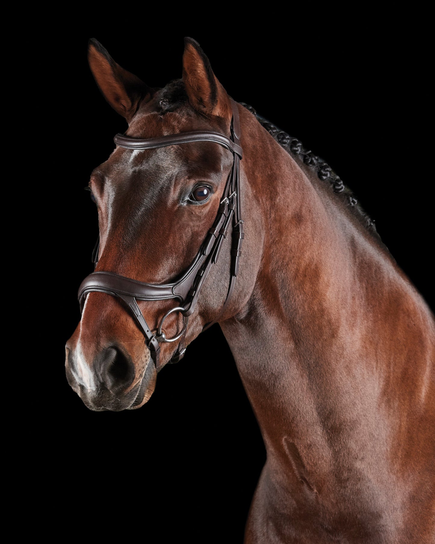 Collegiate ComFiTec Vogue Anatomic Bridle