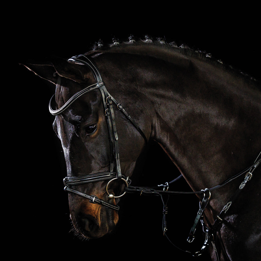 Schockemöhle Tokyo F Bridle