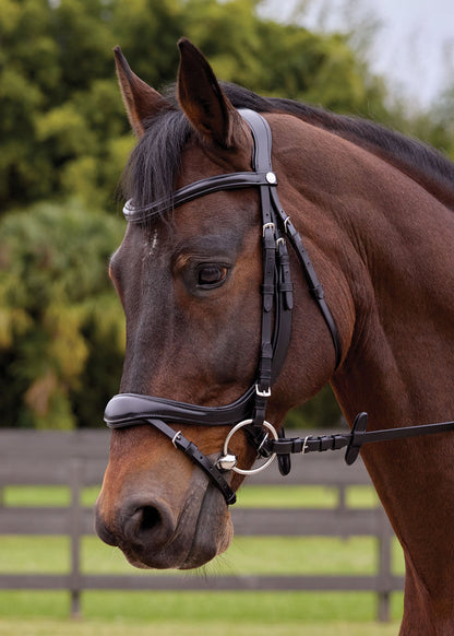 Showmark Ergonomic Flash Bridle