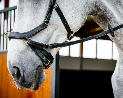 Horseware Ireland Micklem2 Multibridle USA with Reins