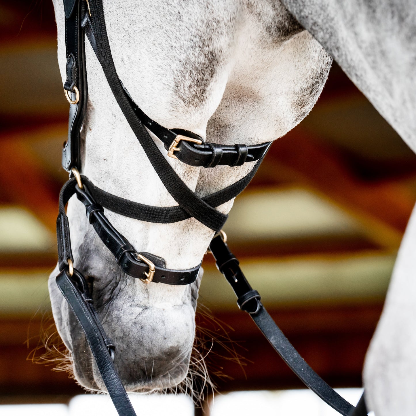 Horseware Ireland Micklem2 Multibridle USA with Reins